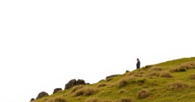 The Crabbe Hole Photos