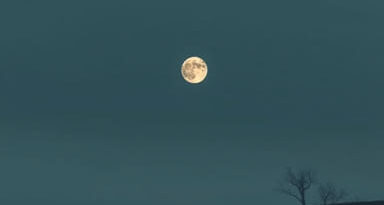 The Definition Of Desolate