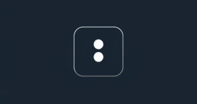 To Be Flipped Meaning