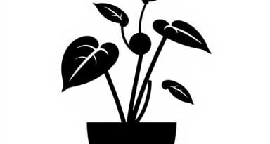 Types Of Rheum Plant