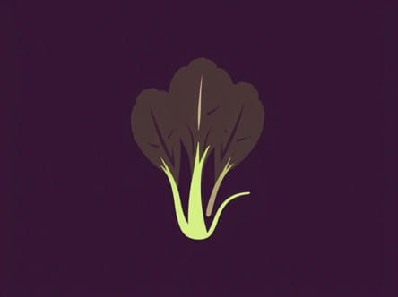 Uses Of Radicchio Lettuce