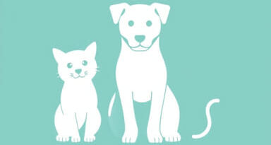 Vets For Pets Buckingham