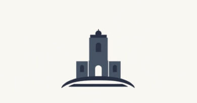 Vfs Global Santo Domingo