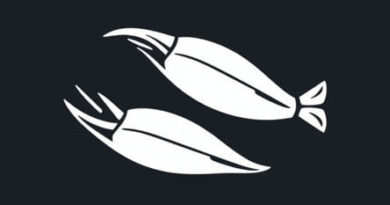 What Are Razor Clams