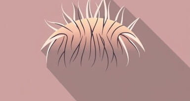 Yeast Infection Pubic Hair