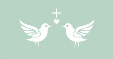 Zelda Totk The White Bird'S Guidance