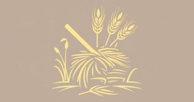 A Process Of Separating The Grain From Chaff Is Called