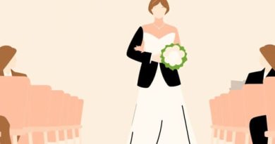 Annie Meyers Shyer Father Of The Bride