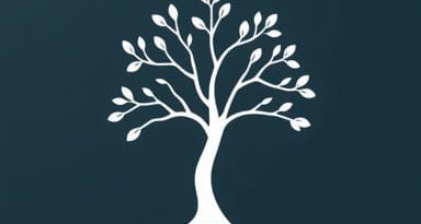 Bermudan Option Binomial Tree