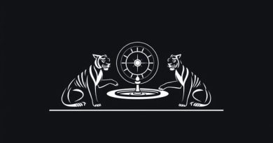 Casino Where Siegfried And Roy Played Nyt