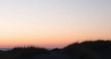 Does Sarah Die In Outer Banks