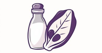 Dreamlight Valley Salt Pickled Radicchio