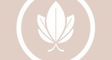 El Lic No Es Mentiroso In English