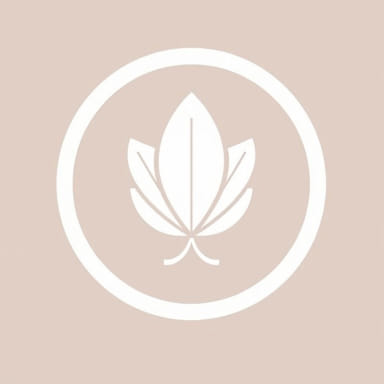 El Lic No Es Mentiroso In English