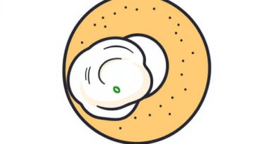 Everything Bagel With Scallion Cream Cheese