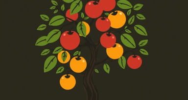 Fruit Of The Drunken Tree