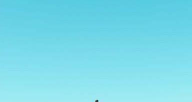 How Tall Is Brenton Thwaites