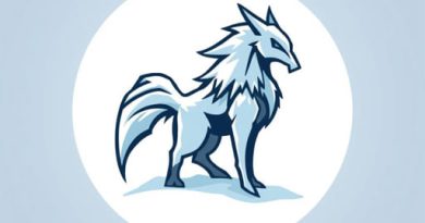 How To Get Hoarfrost Reach Tailraider