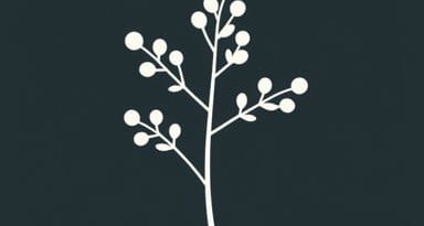 How To Pronounce Acacia