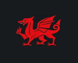I Am A Welshman A Socialist