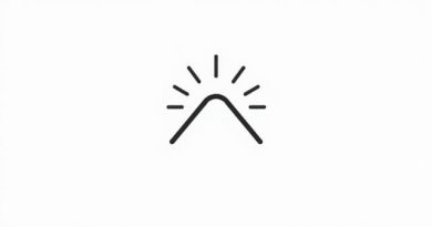 Is Incredulous A Noun