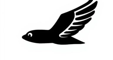 Just Wingin It Reykjavik