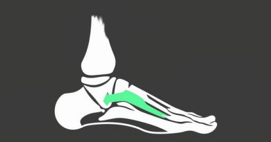 Origin And Insertion Of Plantar Fascia
