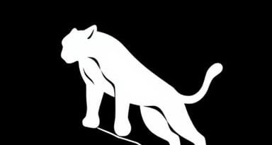 Puma Wild Rider Nightspot