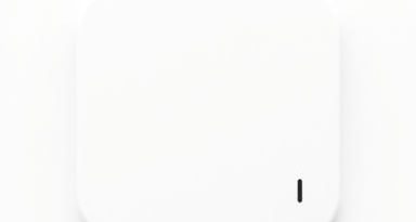 Scorn Belittlement Crossword Clue