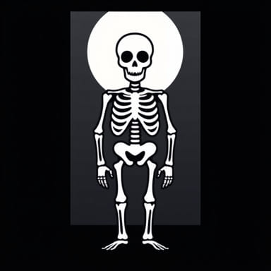 Skeletons In The Closet