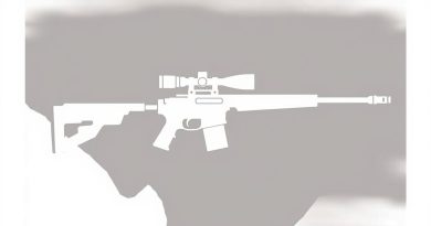 Summary Of The Beltway Snipers