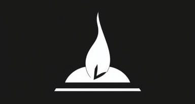 The Gall And The Wherewithal Meaning