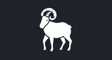 Tuberculum Maius Humeri Jelent Se