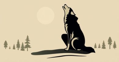 Who Knelt Beside Wolfe At Quebec