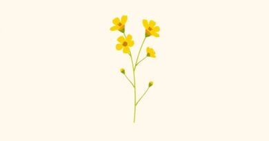 Yellow Flowered Medicinal Herb - Crossword Clue