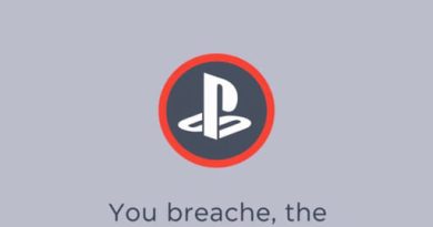 You Breached The Playstation Code Of Conduct