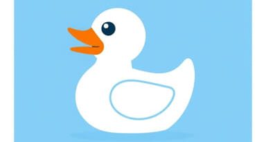 Youtube Rubber Duck Roommate